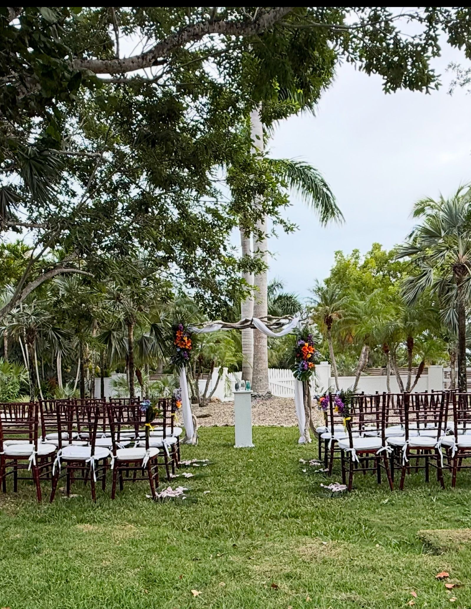 Ceremony chairs and driftwood arch at Pelico Palms