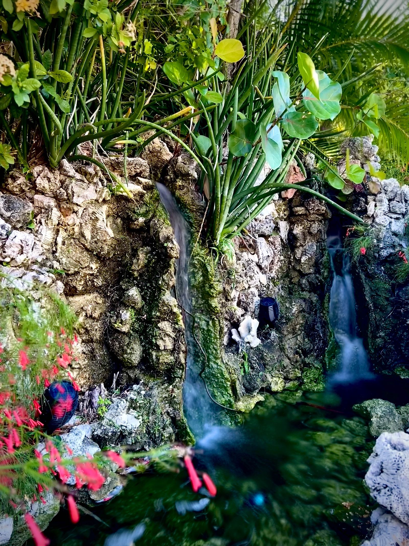 Tropical rock waterfall with lush greenery